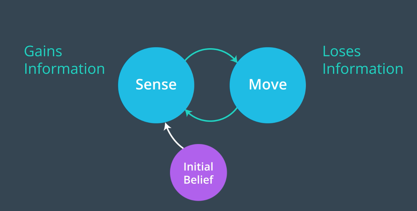 Sense/move cycle.